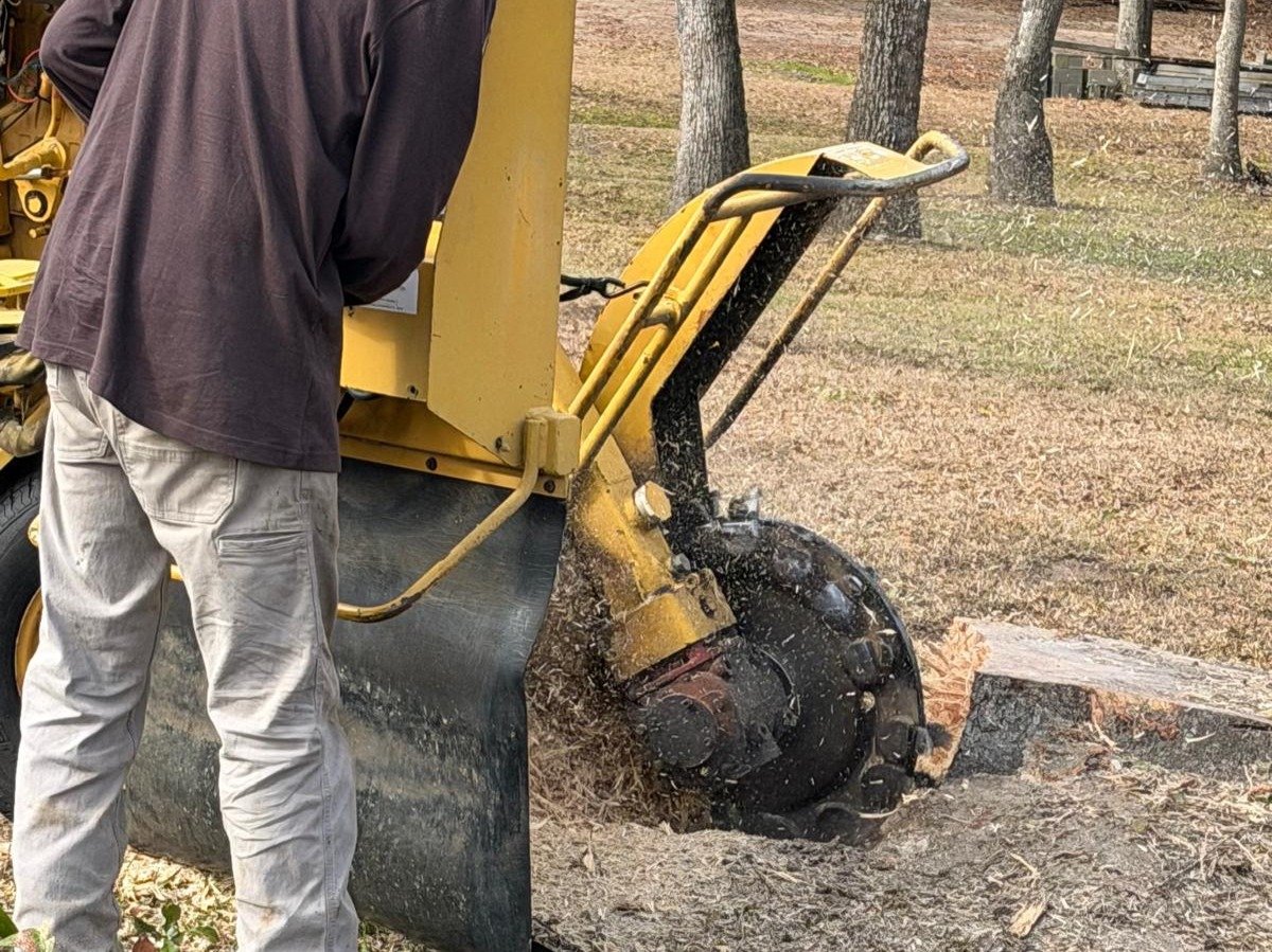 El Costeño Tree Service LLC